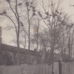 IMG_20160707_0005